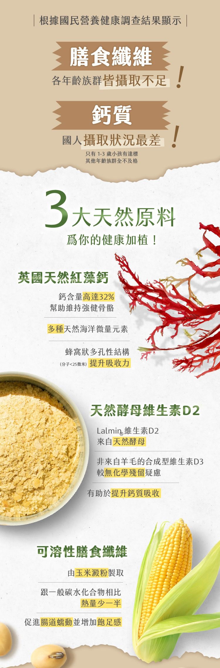 Tryall | ClearWhey Protein Isolate Ice Lemon tea25g| 機能透明分離乳清-檸檬紅茶 (25g)